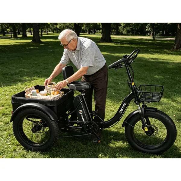 Triciclo elétrico para adultos T302 Pro | Pneus 20x4,0 polegadas 7/8