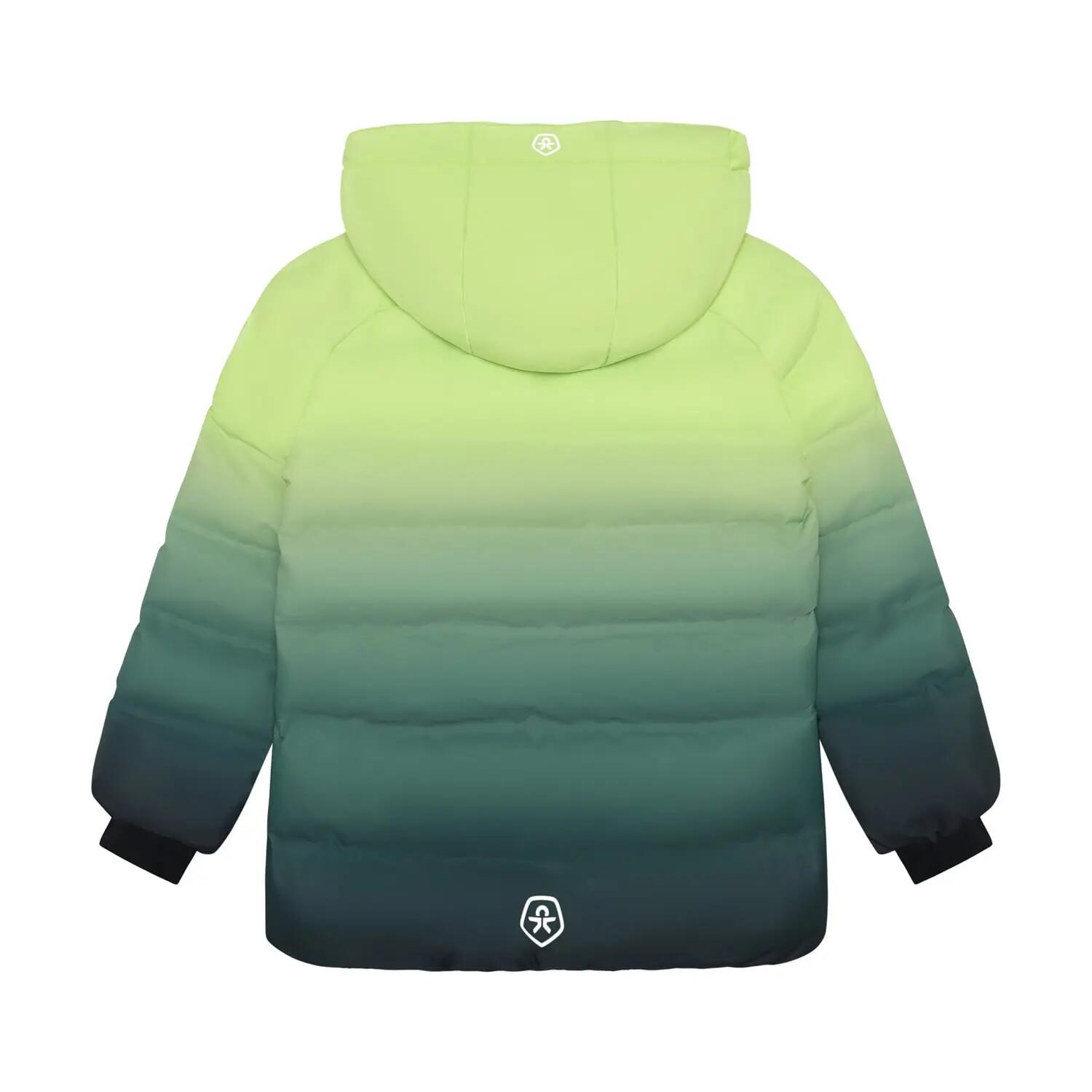 Skijacke Sharp Green 2/5