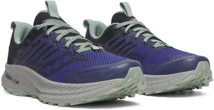 Chaussures - Running sur route - Homme - Saucony Ride TR2 - Regal/noir