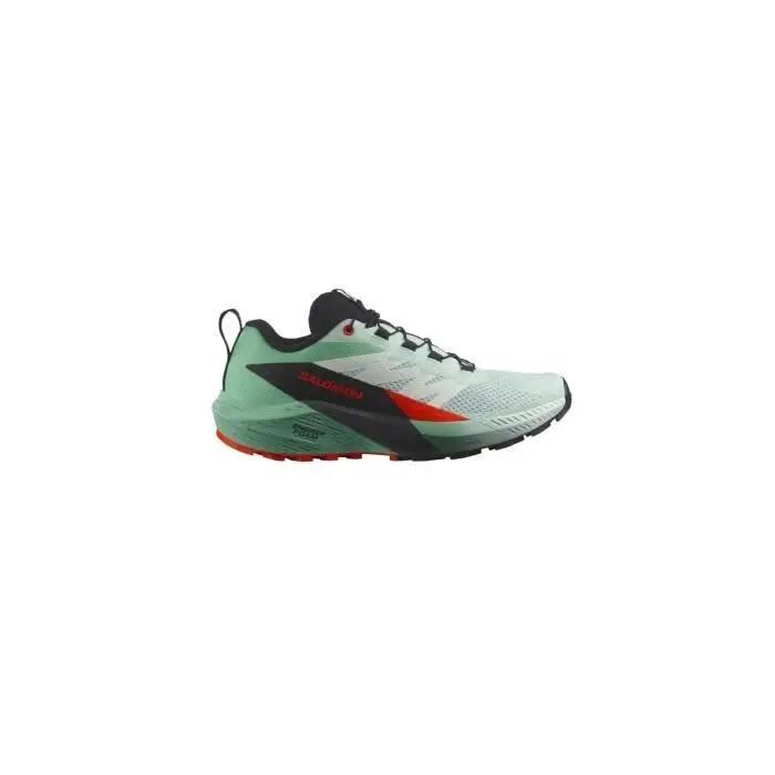 SALOMON picture