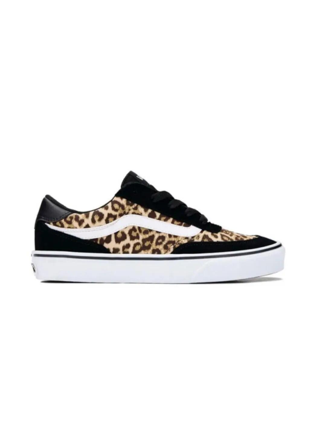VANS picture