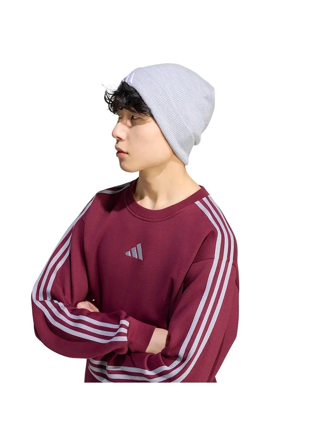 Sweat-shirts en polaire pour homme Adidas 3 bandes grenat. 4/5