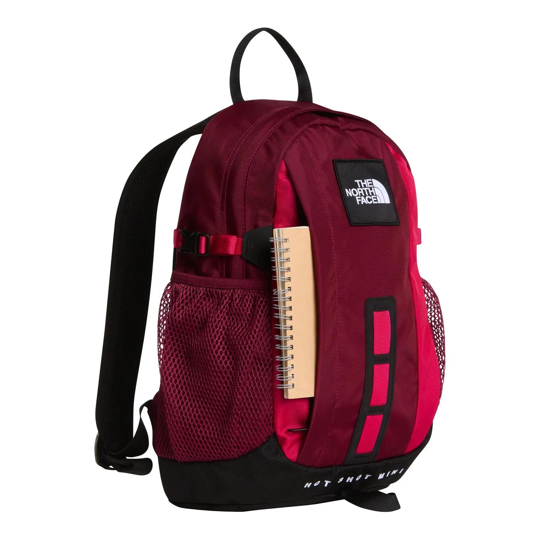 Mochila esportiva masculina The North Face Urban HOT 5/8