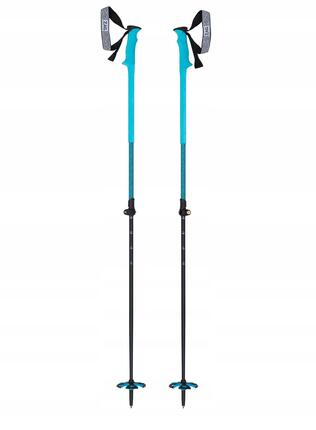 Erwachsene - alpiner skisport - skistock - verstellbar - North - blau/schwarz