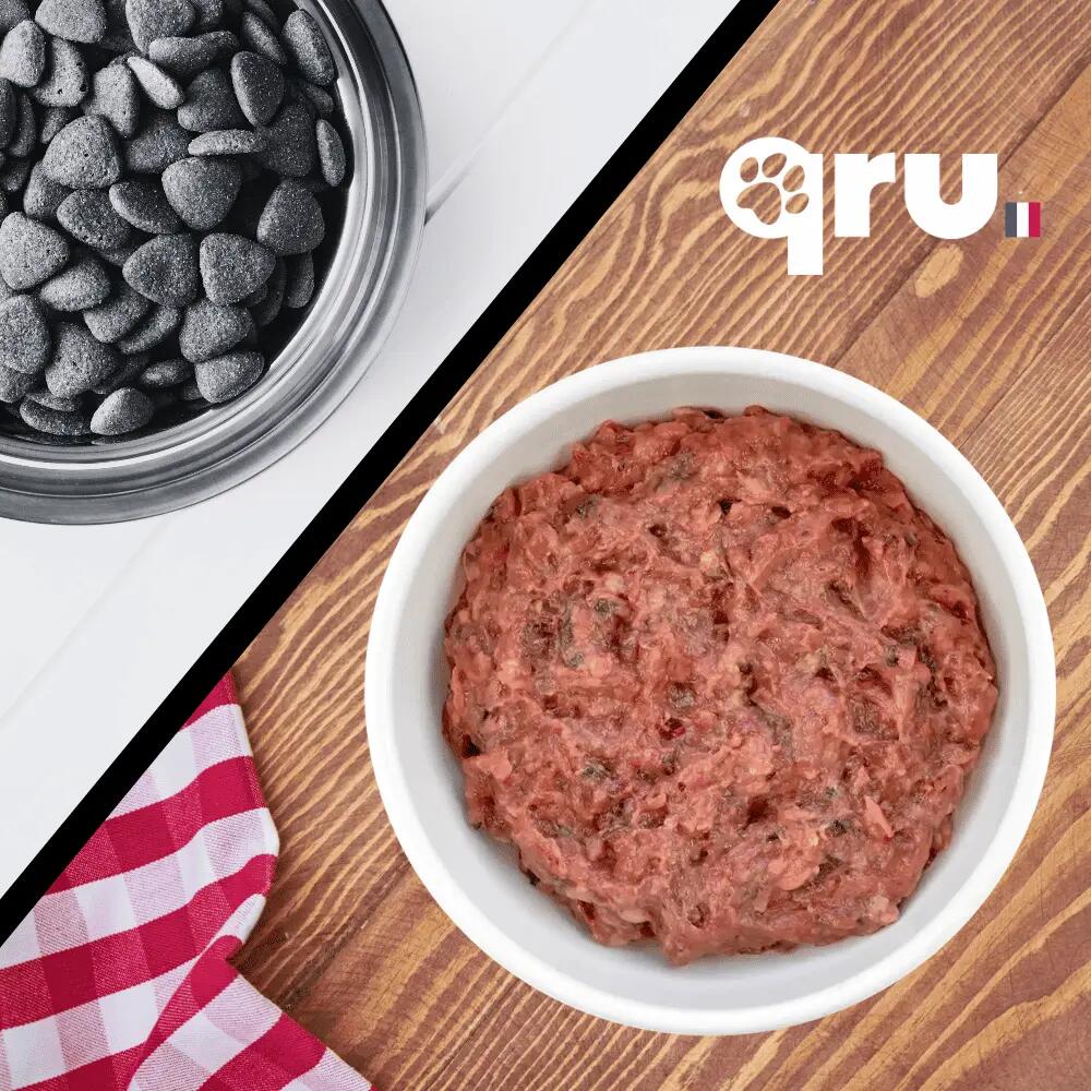 Repas BARF chien – Poulet Intro − 10 x 450 g 3/7