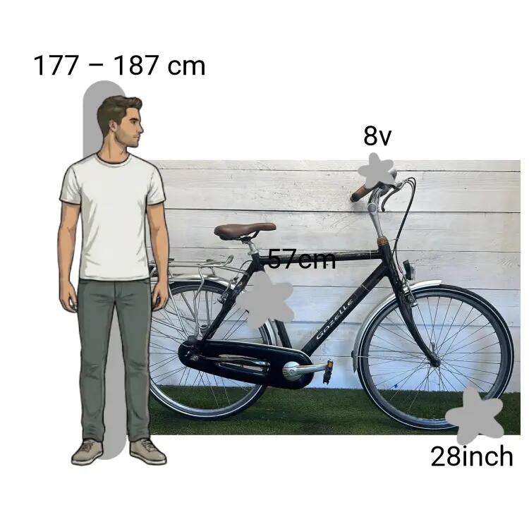 De segunda mano Gazelle Lite Line Carbon Frame 2/4