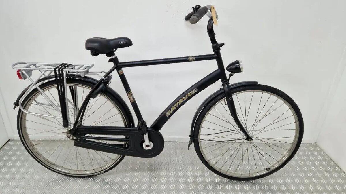 BATAVUS picture