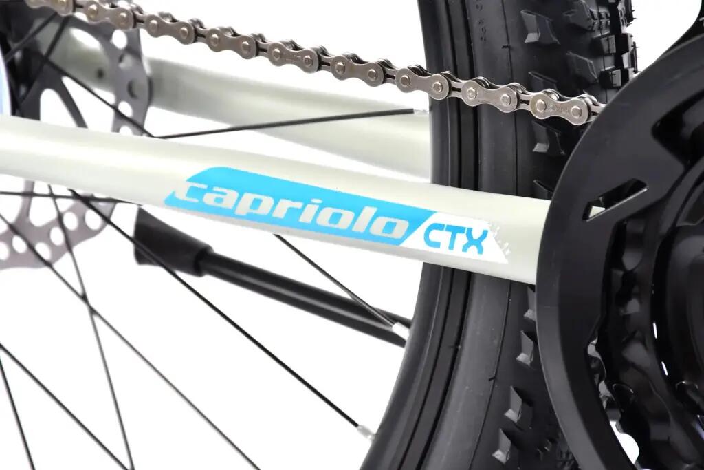 Capriolo CTX 240 24" gyerek kerékpár Szürke-Kék 6/10