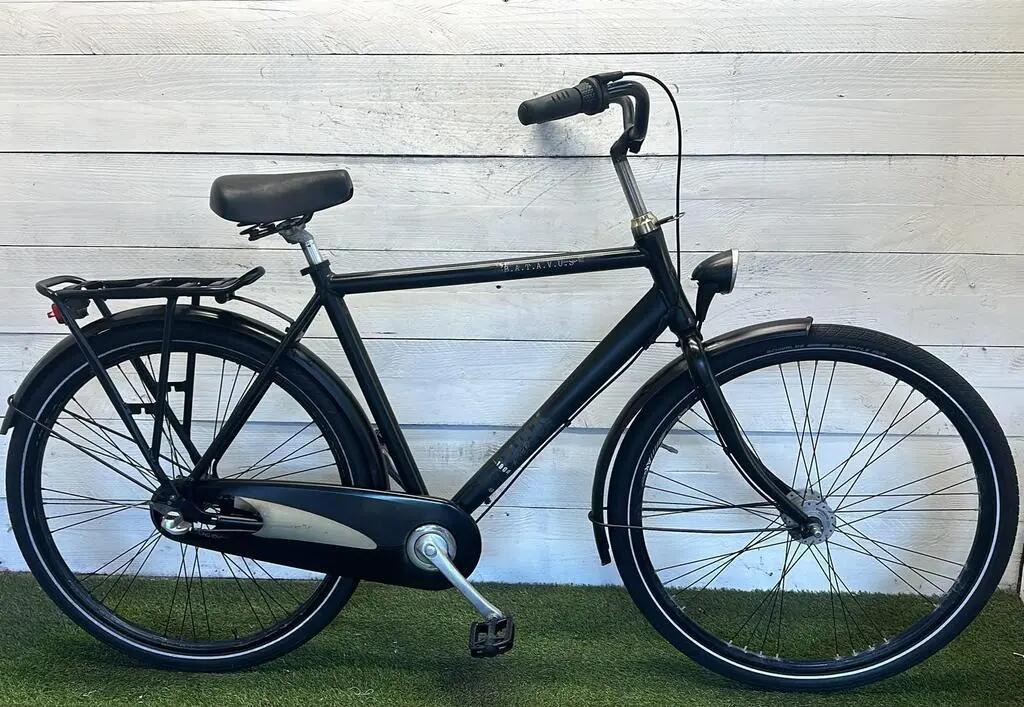 BATAVUS picture