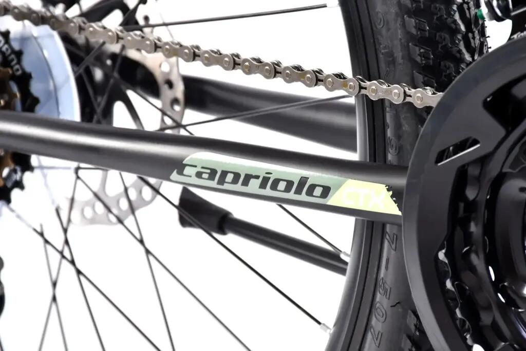 Capriolo CTX 240 24" gyerek kerékpár Fekete-Kék 7/10