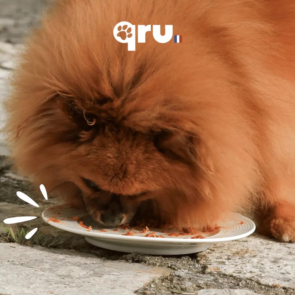 Repas BARF chien – Poulet Intro − 10 x 450 g 7/7