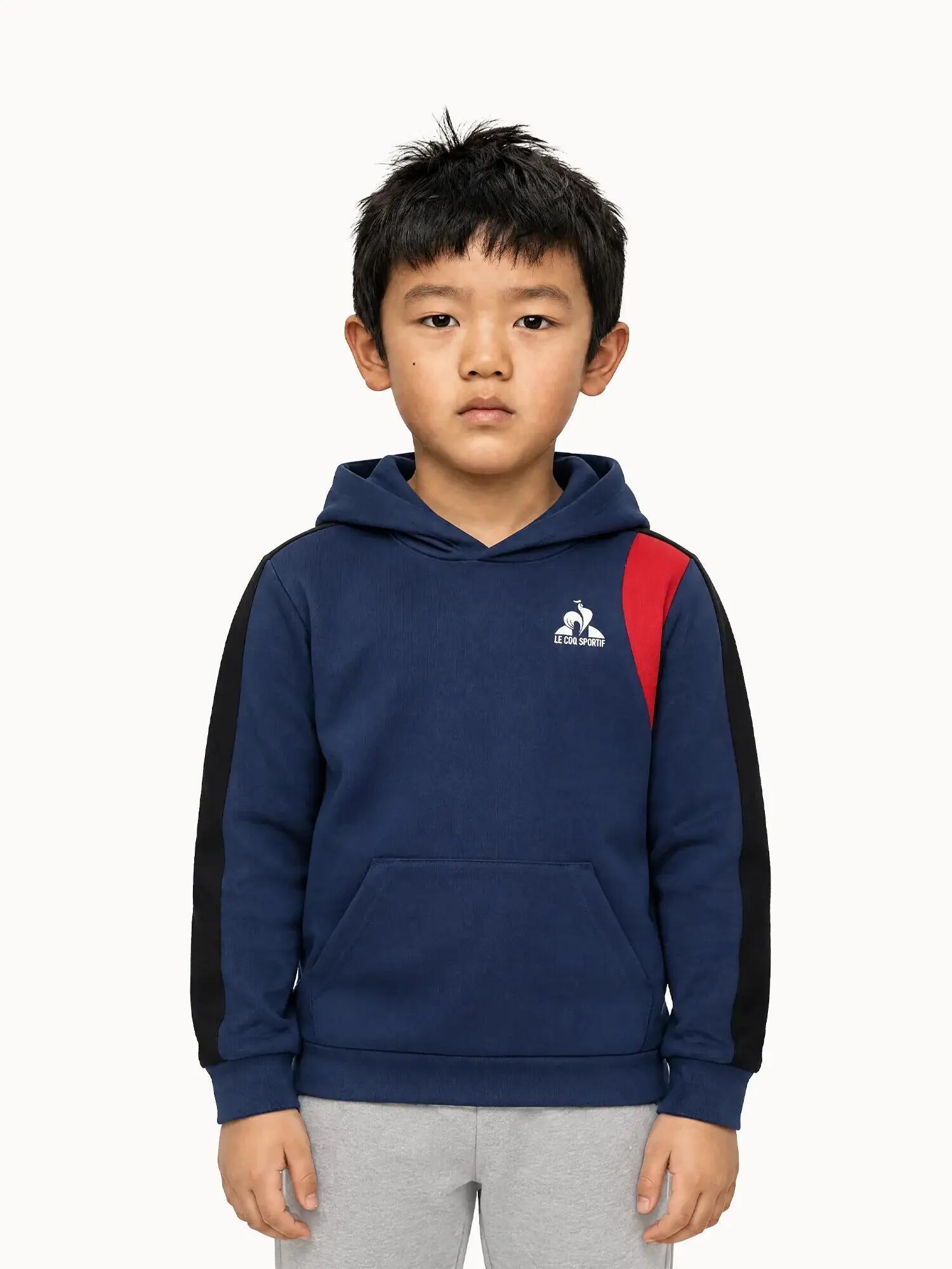 Sweat à capuche Tricolore 1/7