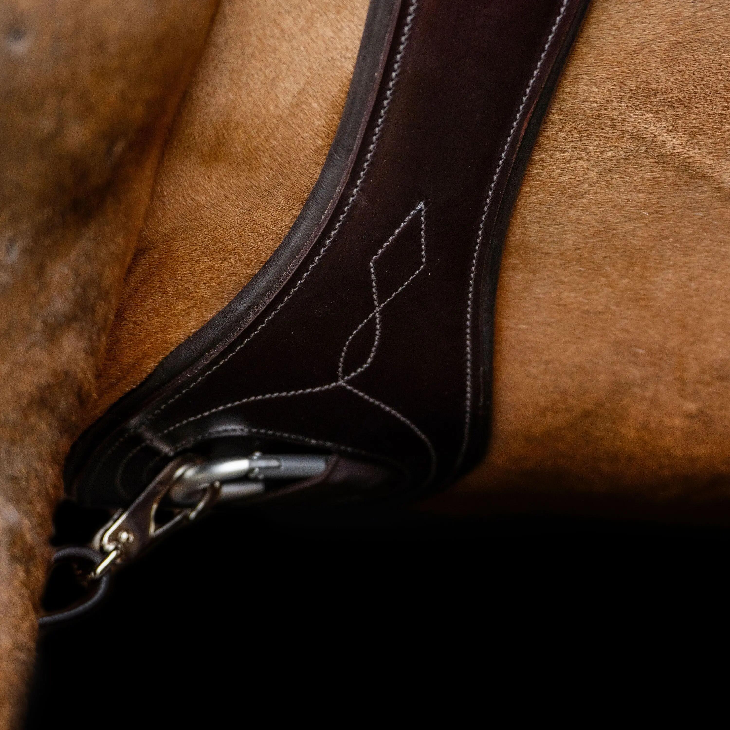 Reitlatzgurt HV Polo Legacy 2/2