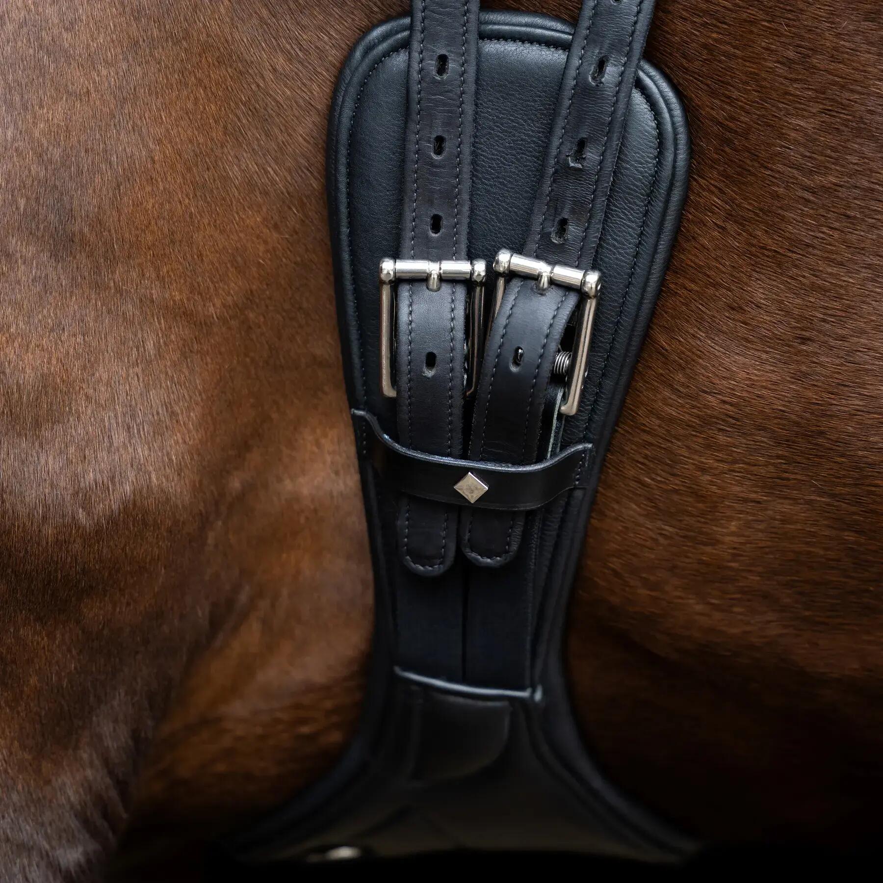 Sottopancia per equitazione Imperial Riding anatomic 2/4