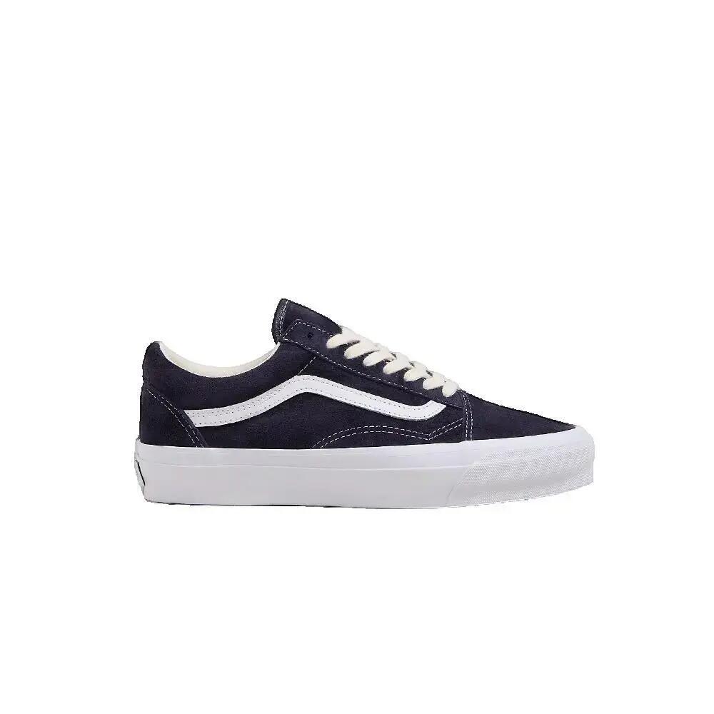 VANS picture