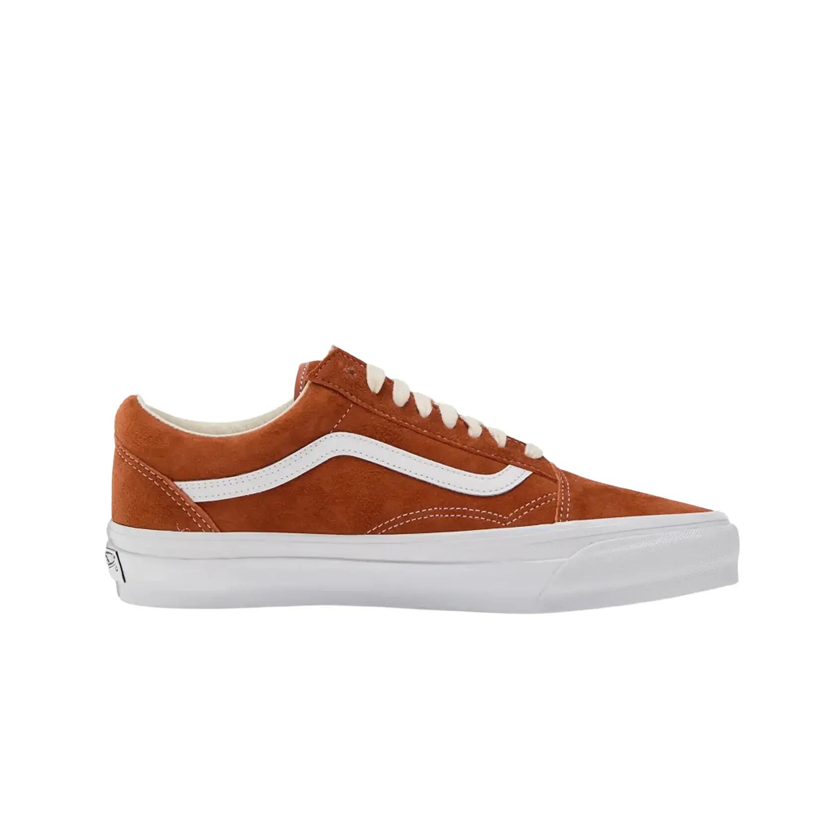 VANS picture