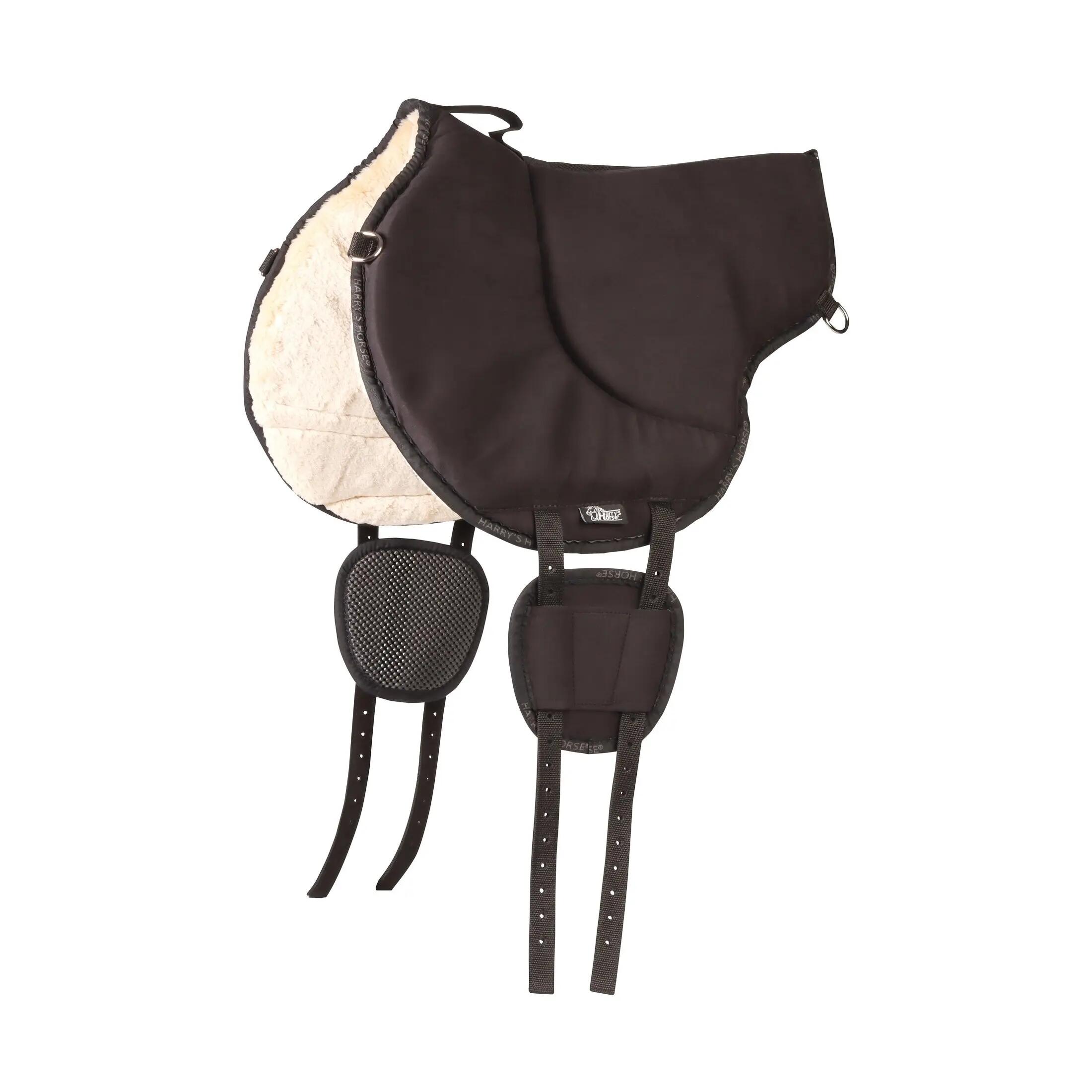 HARRYS HORSE picture