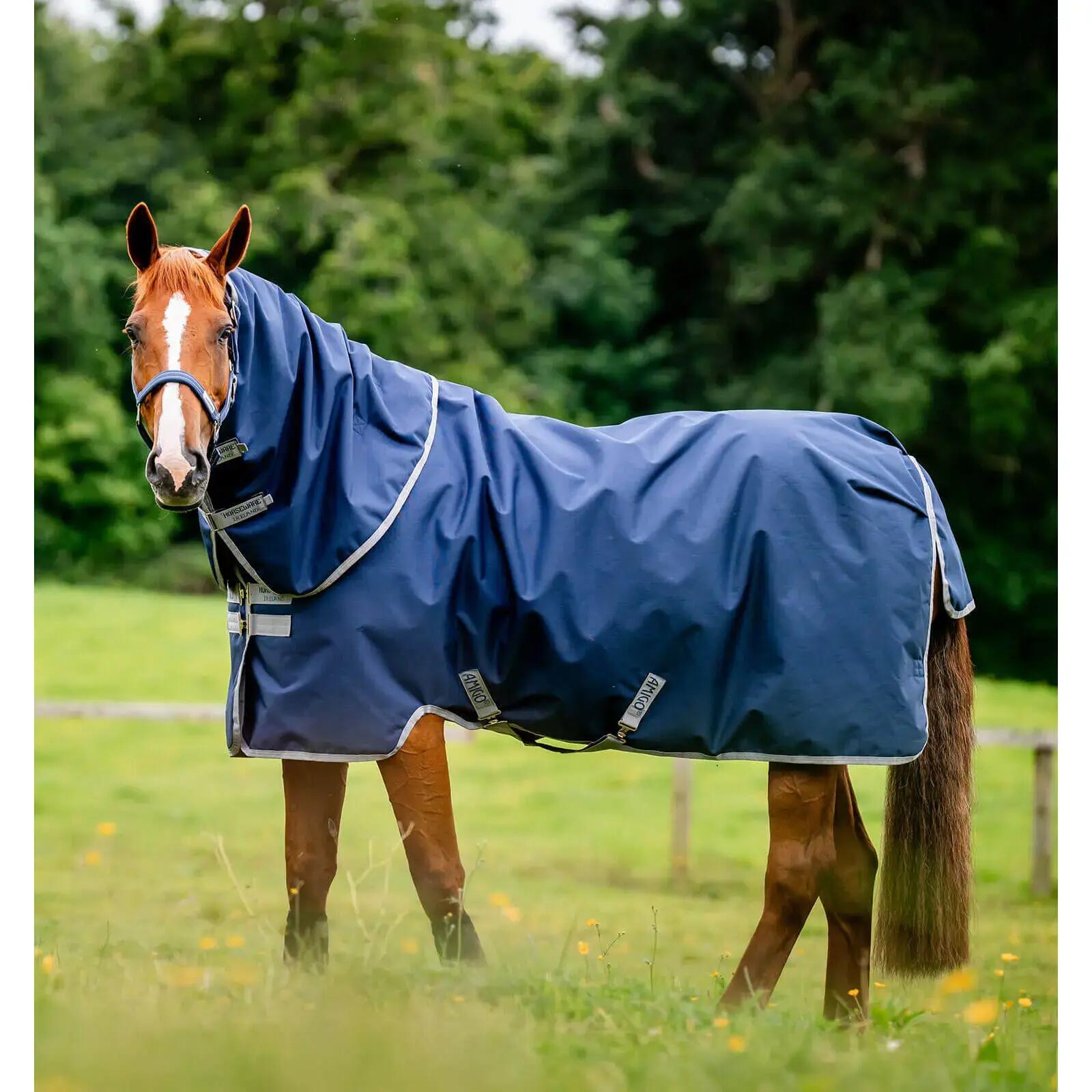 HORSEWARE IRELAND picture