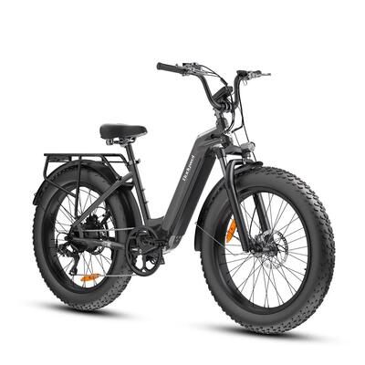 Elektrische fiets bodywel d9, 48v 15ah uitneembare accu, 26 inch banden
