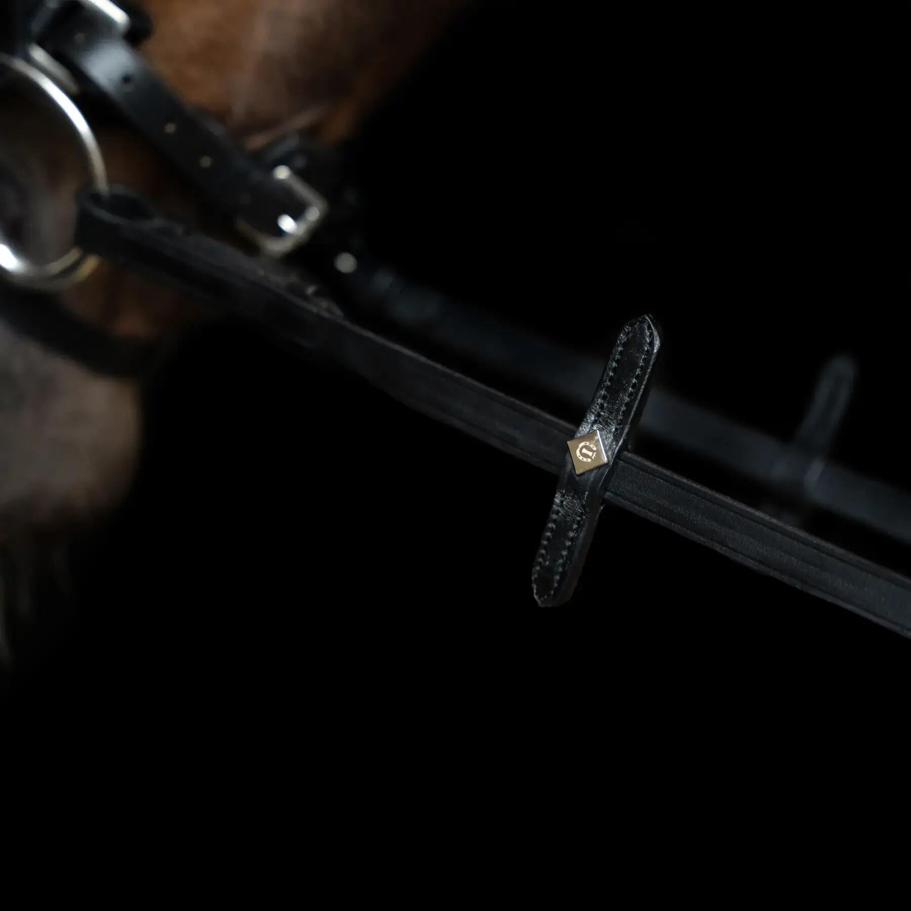 Teugels voor paarden Imperial Riding 3/3