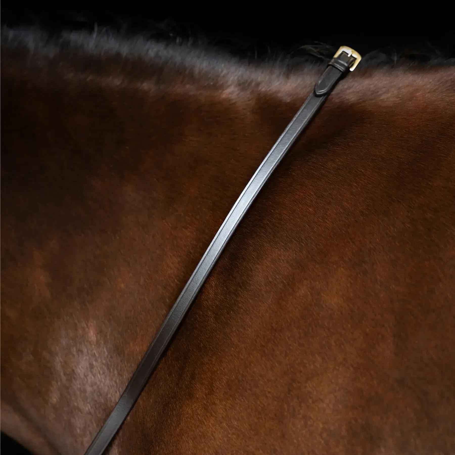 Zügel für Pferd Imperial Riding 2/3