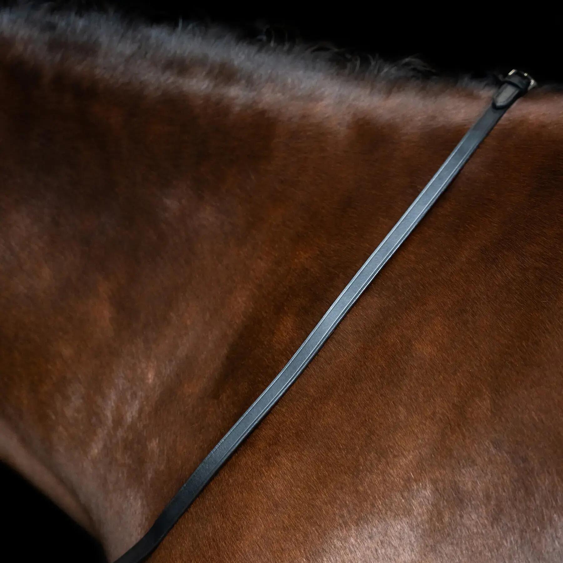 Teugels voor paarden Imperial Riding 2/3