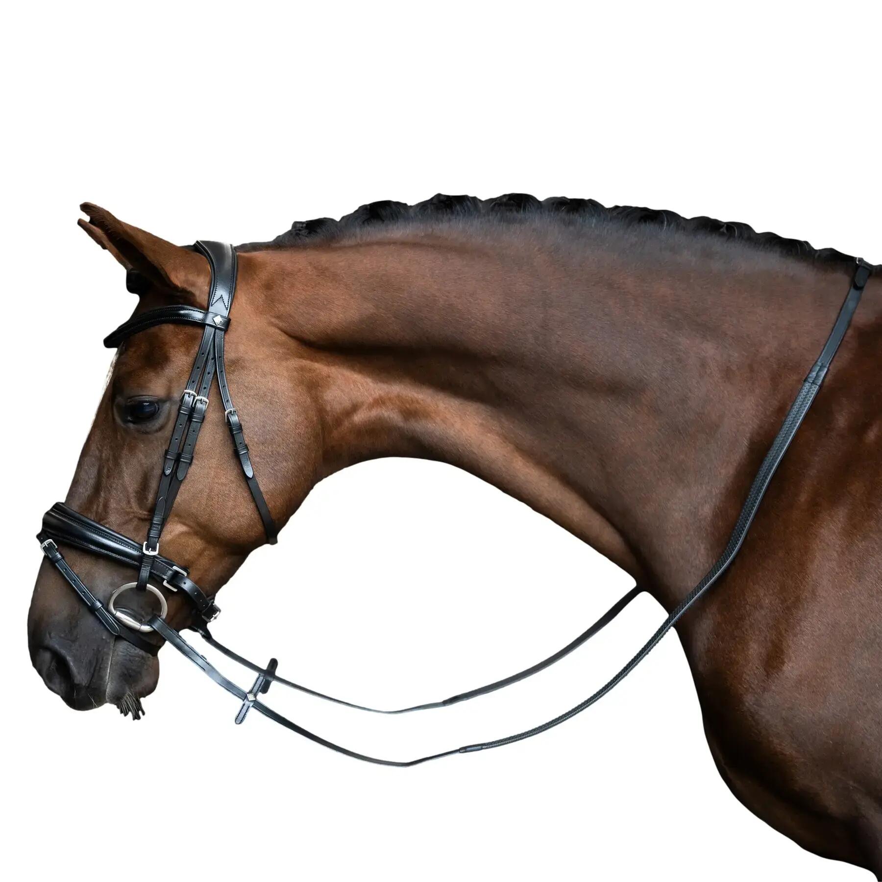 IMPERIAL RIDING picture