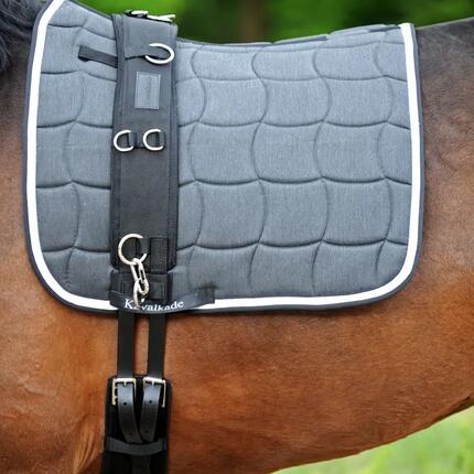 Paarden longeerriem met vulling Kavalkade
