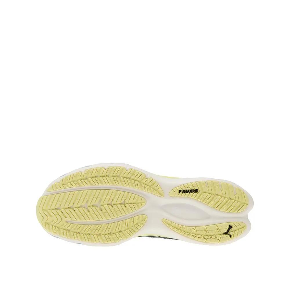 PUMA picture