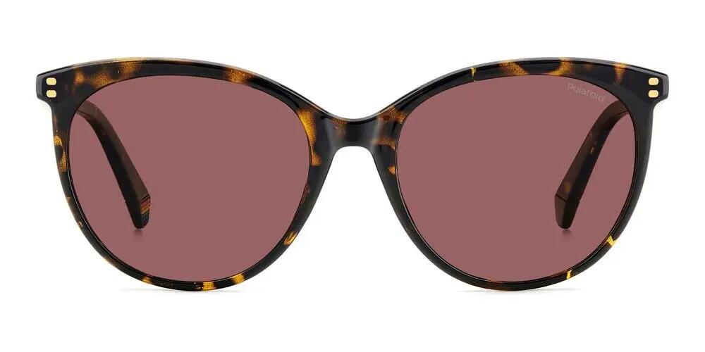 Lunettes de soleil Polaroid PLD 6231/S Femme œil de chat marron 2/6