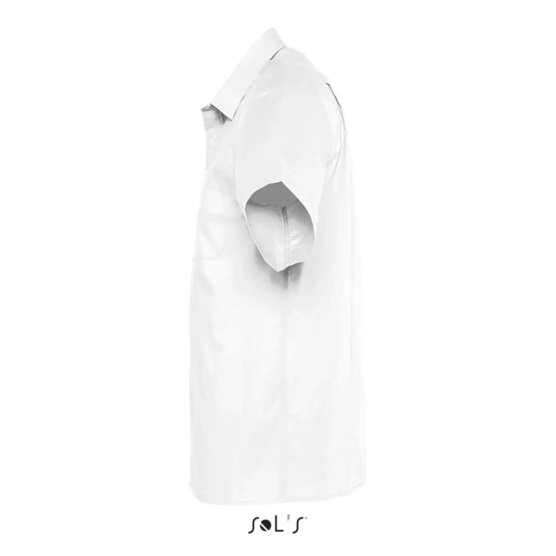 Shirt Sol's Bristol 3/3