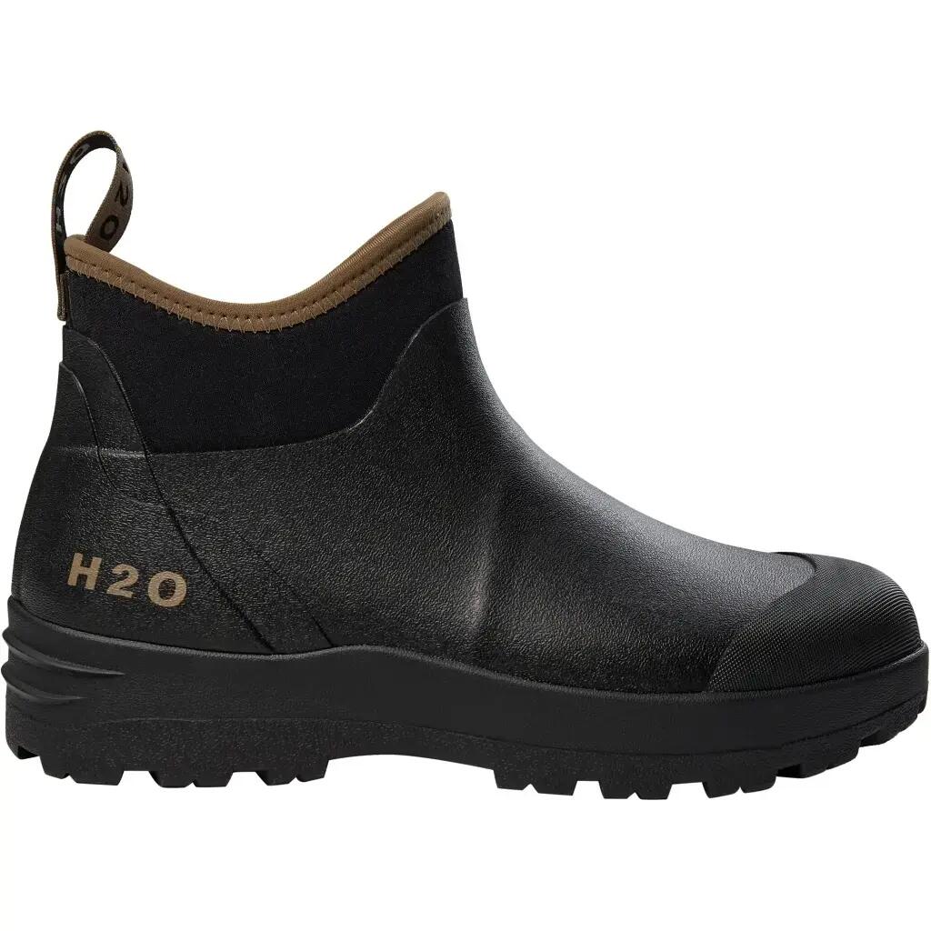 H2O picture