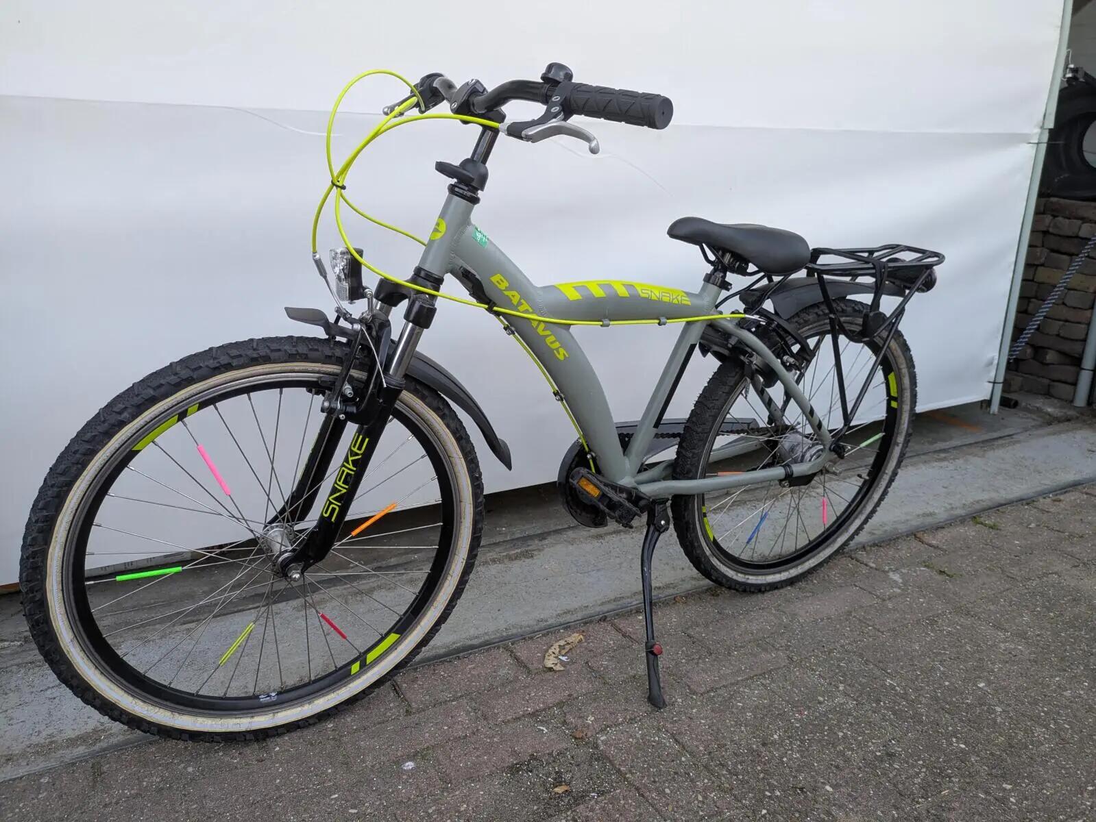 Second Life - Gereviseerd Batavus Snake 3/5