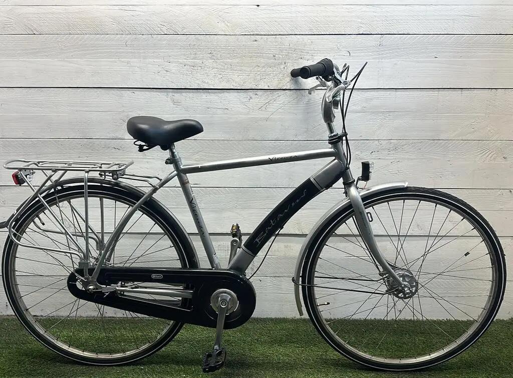 BATAVUS picture