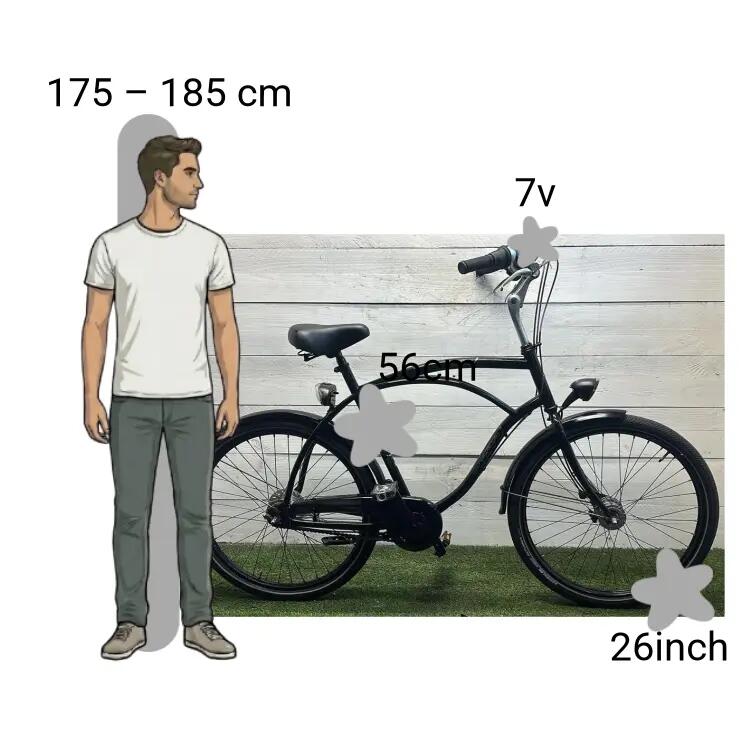 Bicicletta usata Sparta Bullet 2/4