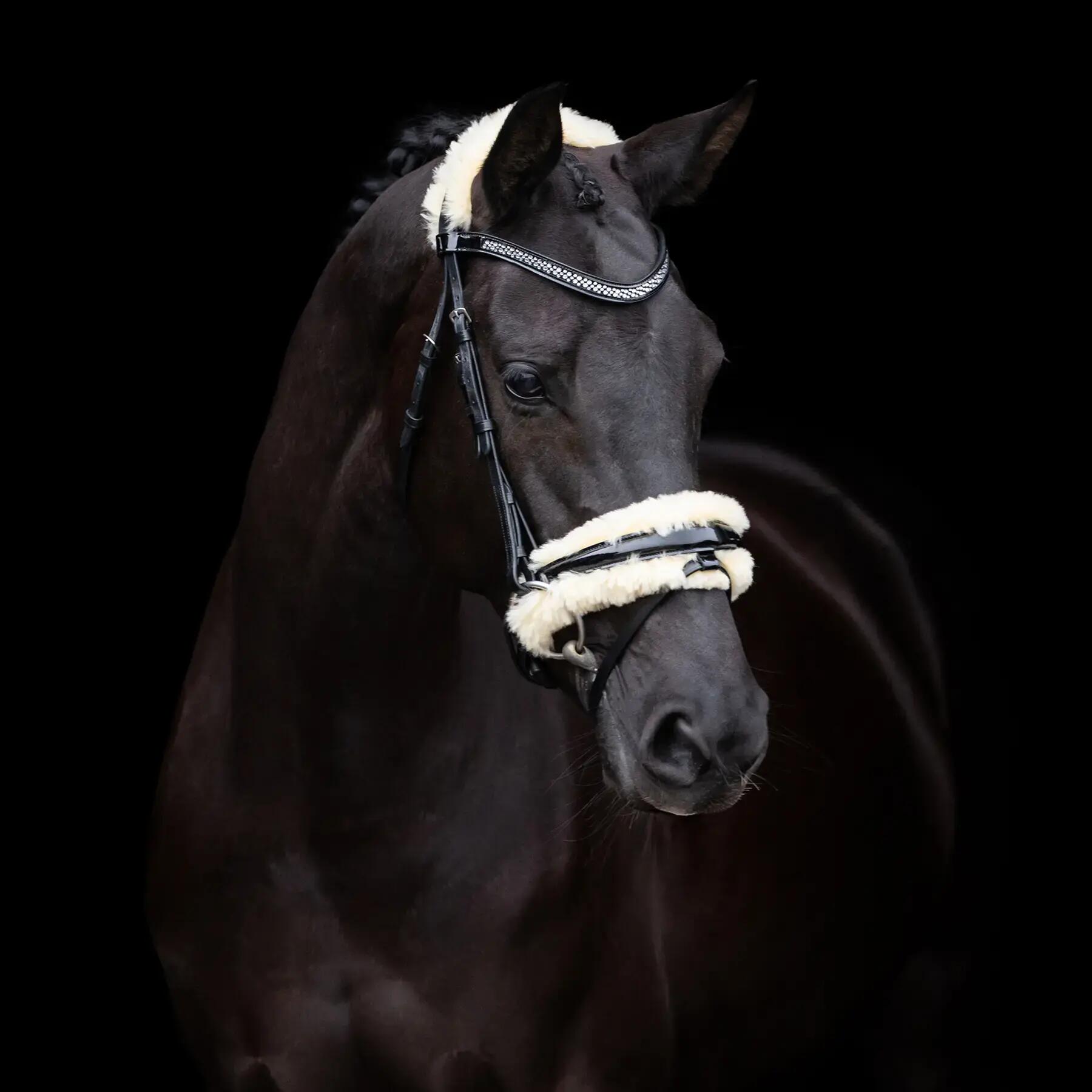 HV POLO picture