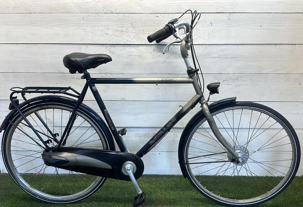 BATAVUS picture