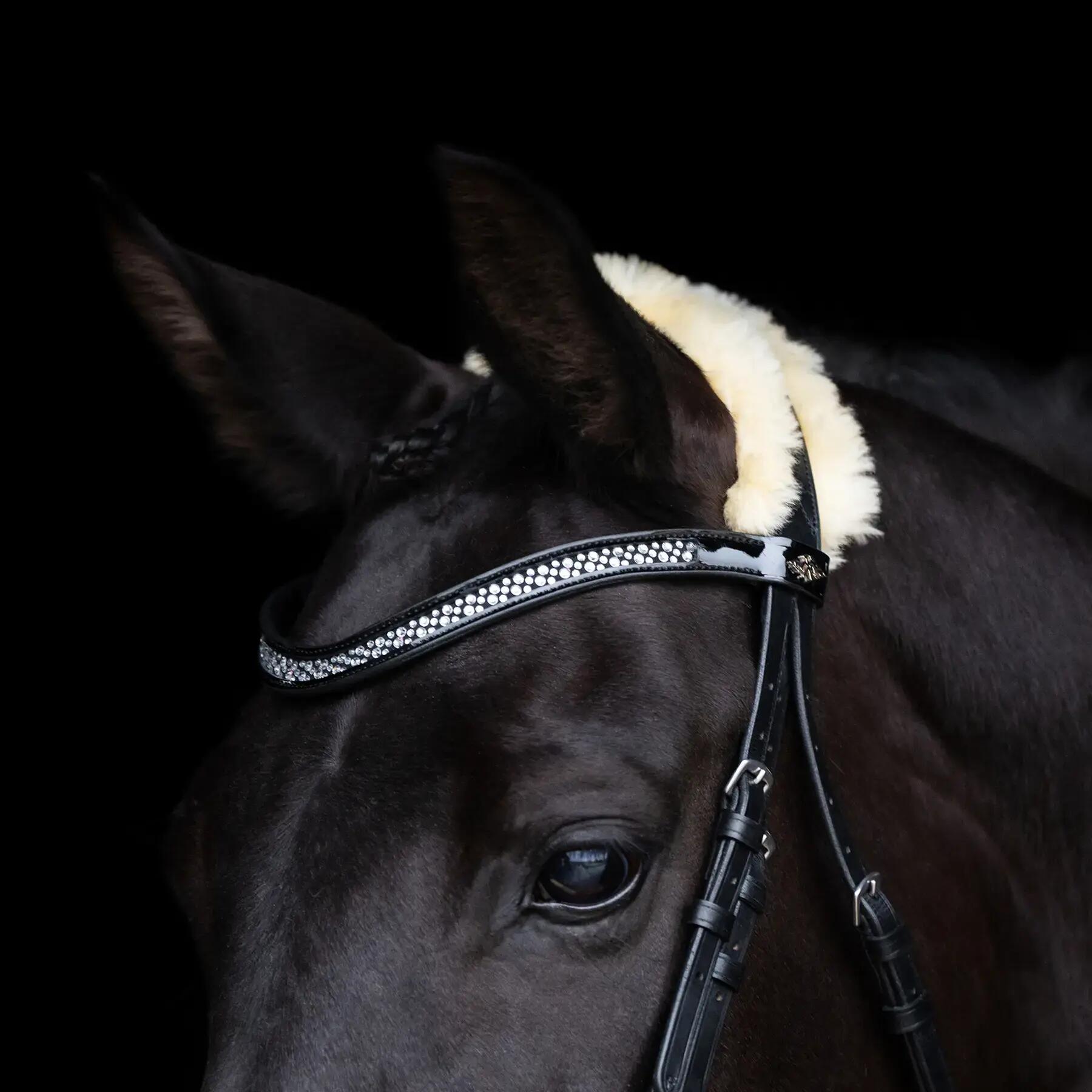 Reitzeug HV Polo Kate 5/5