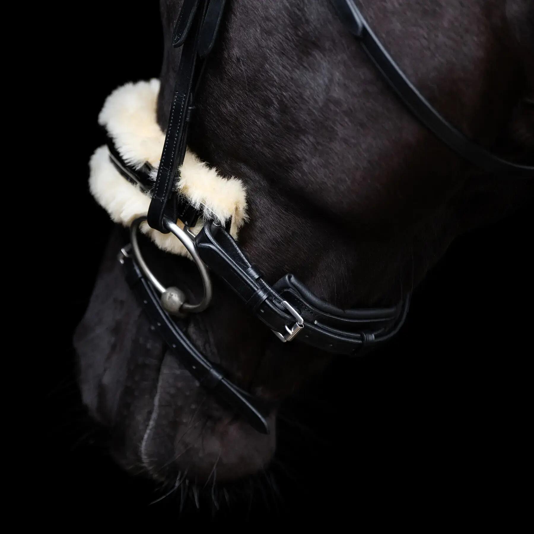 Reitzeug HV Polo Kate 4/5