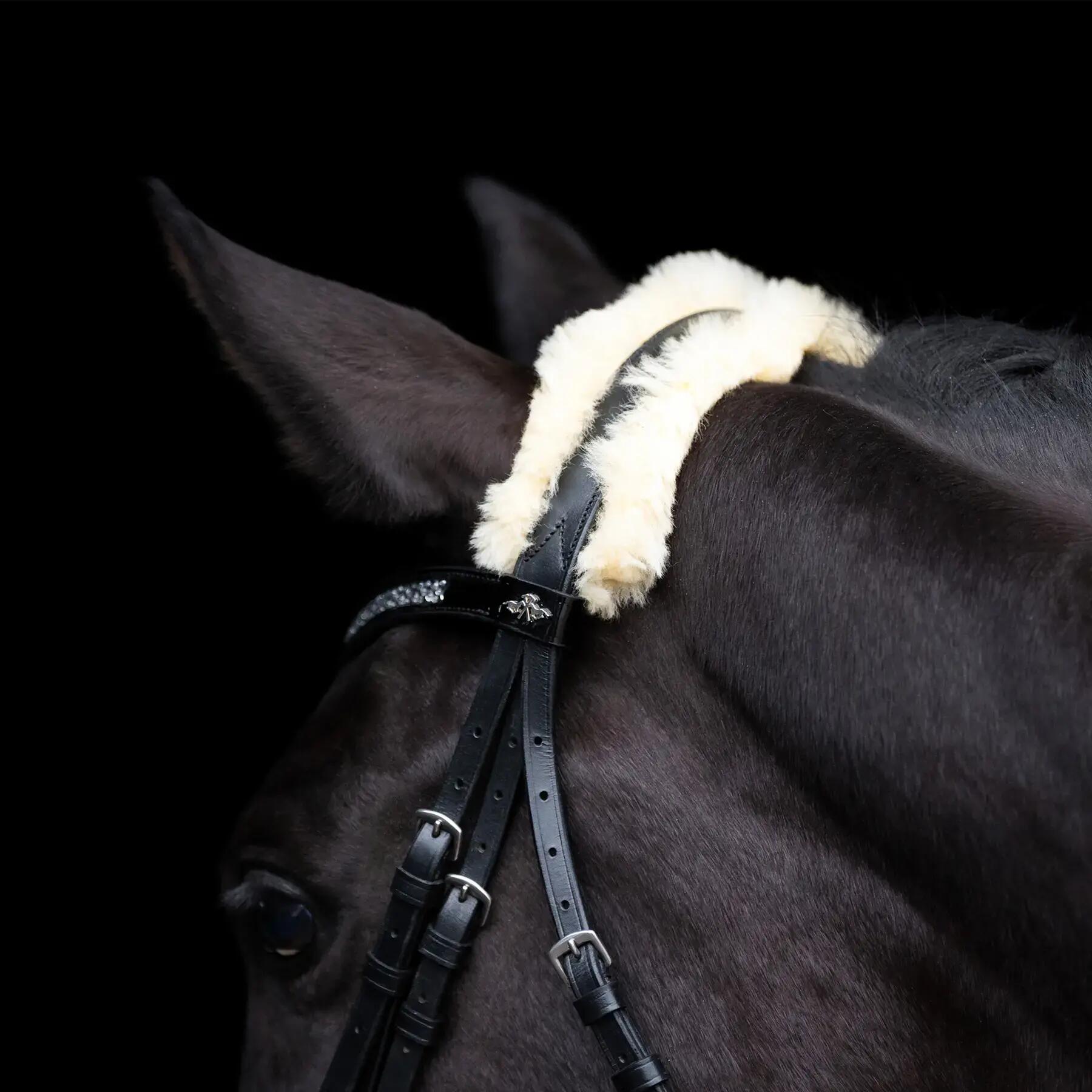 Reitzeug HV Polo Kate 3/5