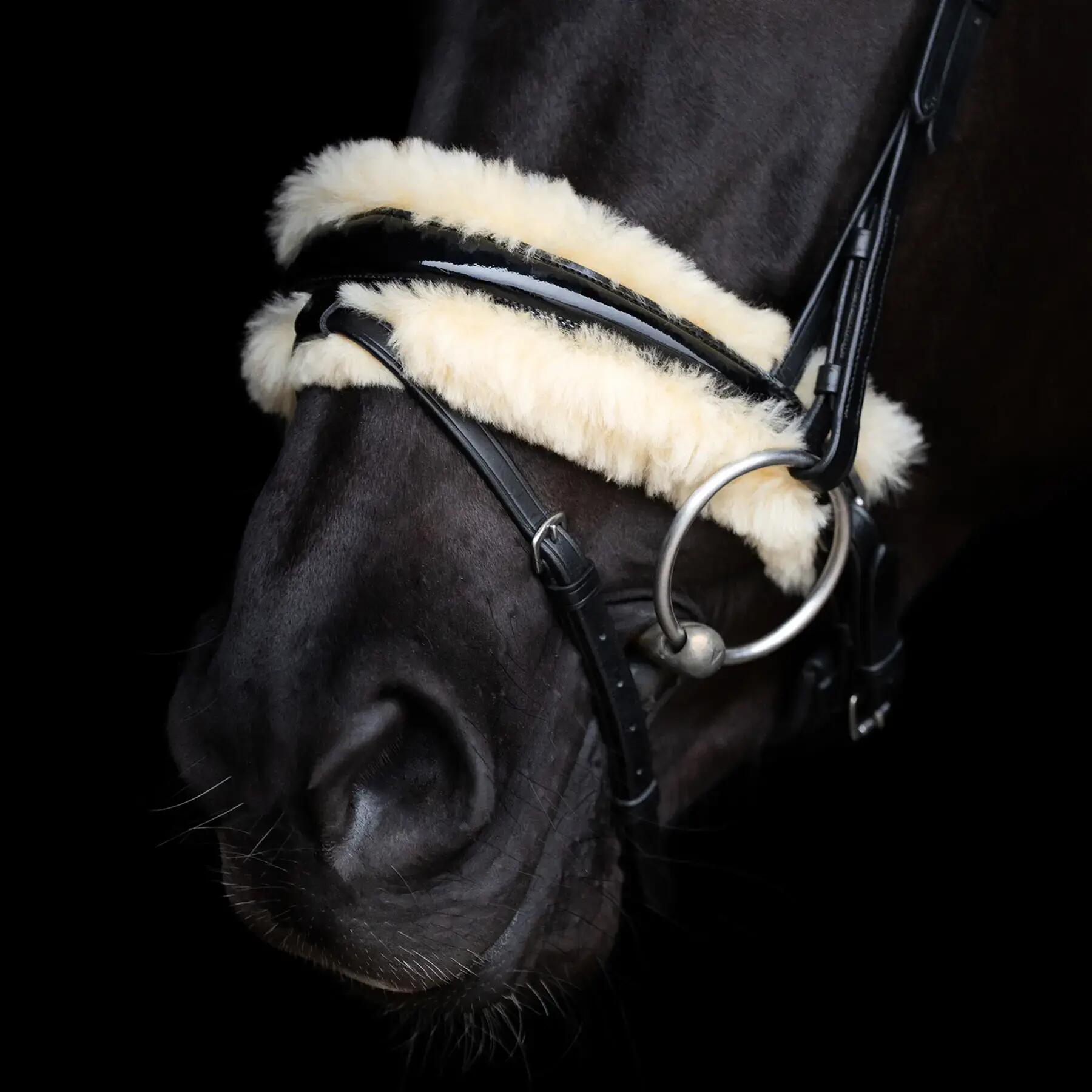 Reitzeug HV Polo Kate 2/5