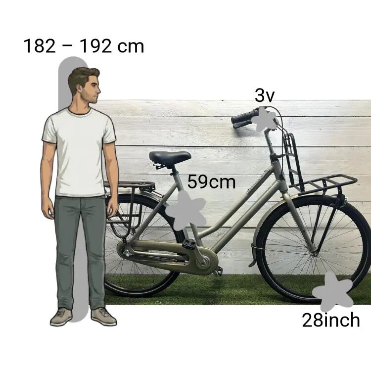 De segunda mano Gazelle NL 2/4
