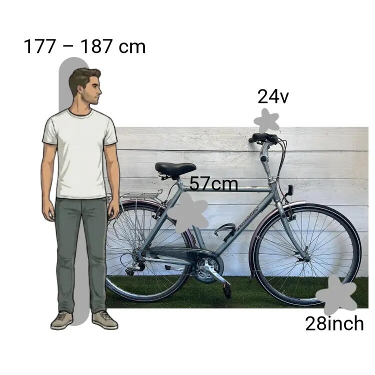 Bicicletta usata Gazelle Medeo 2/4