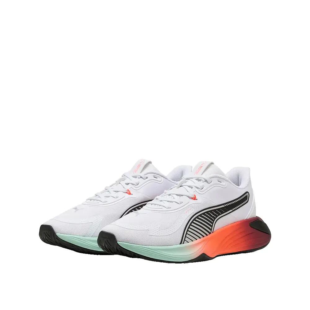 PUMA picture
