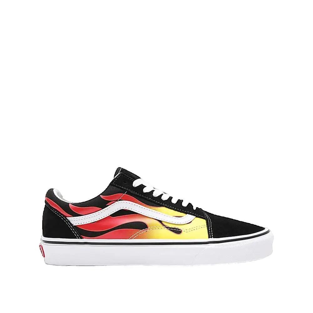 VANS picture
