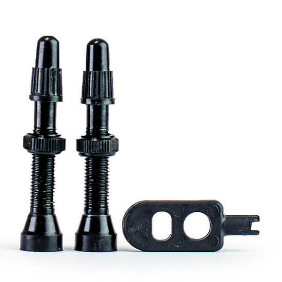 Tubeless-Ventile, 2 Stück, schwarz