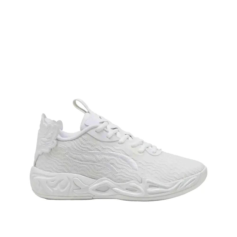 PUMA picture