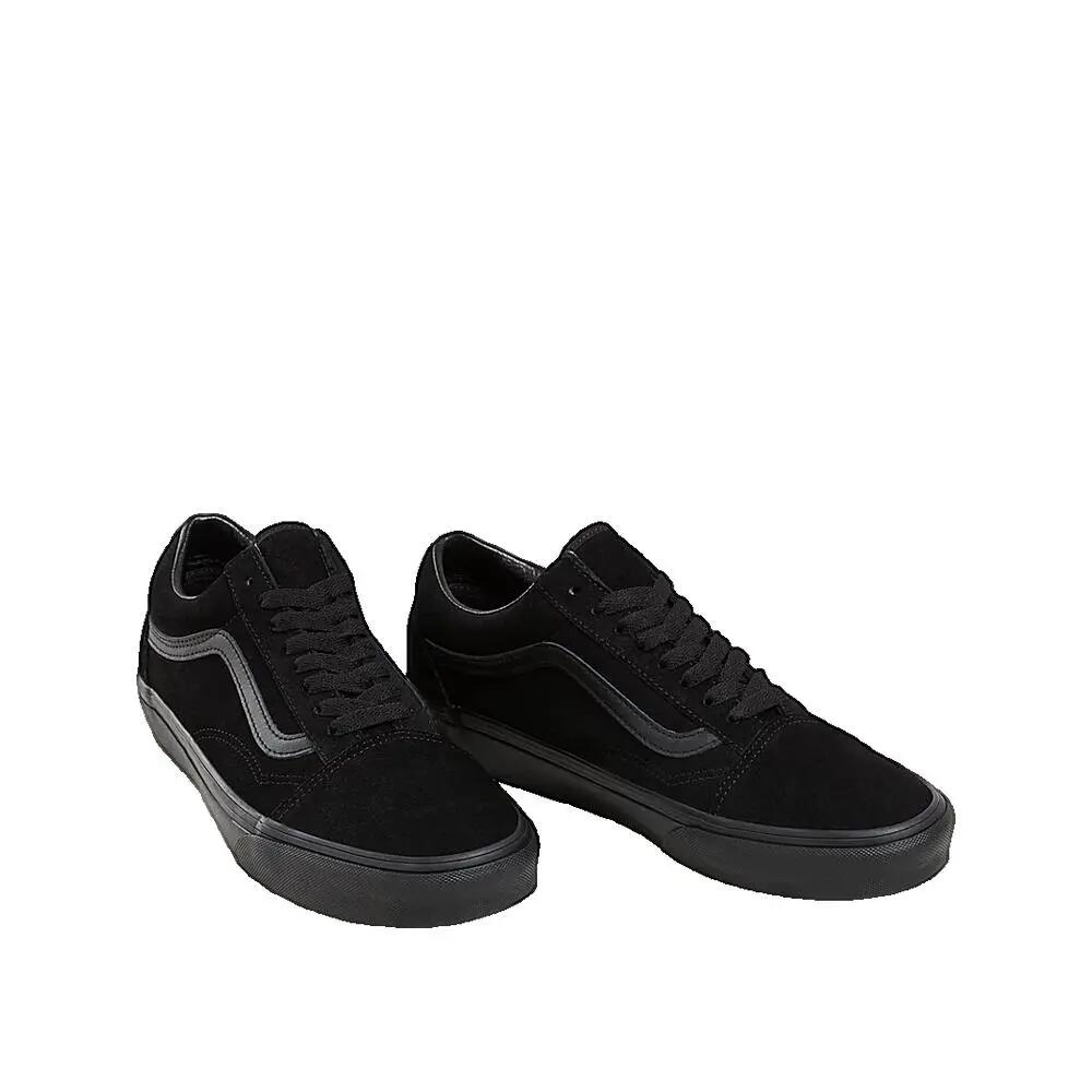 VANS picture