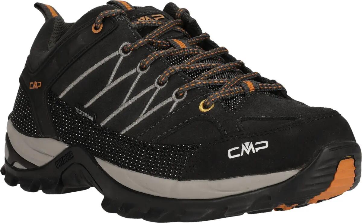 CMP picture
