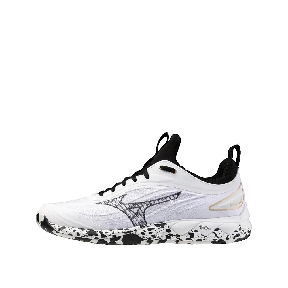 MIZUNO picture